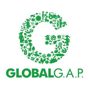 Global Gab